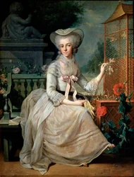 Ung dame i et bur, 1784