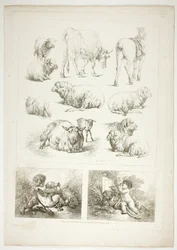 Tavle otte af 38 fra Oeuvres de J. B. Huet