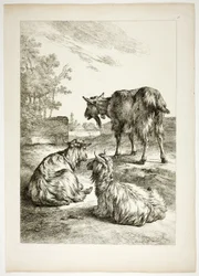 Tavle Atten af ​​38 fra Oeuvres de J. B. Huet
