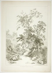 Tavle seks af 38 fra Oeuvres de J. B. Huet