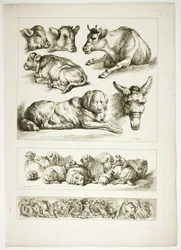 Tavle 20 af 38 fra Oeuvres de J. B. Huet