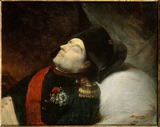 Napoleon irer