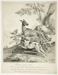 Hjorte angrebet af hunde