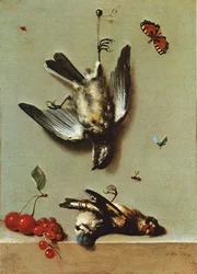 Stilleben med tre døde fugle, ribs, kirsebær og insekter
