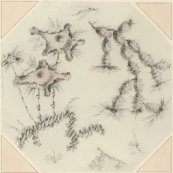 Bambusblomster og kaktus (sort og rødt kridt på papir)
