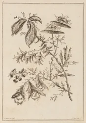 Blomstergren