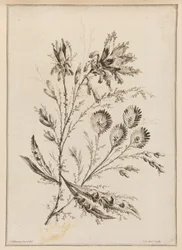 Blomstergren