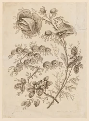 Flower Bough, fra "Cahier de Fleurs Singuliers"