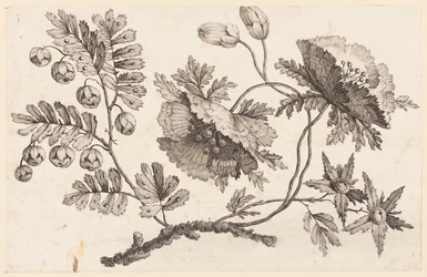 Flower Bough, fra "Chinese Flower Collection"