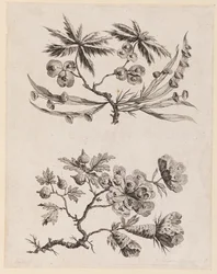 Blomstergrene fra "Chinese Flower Collection"