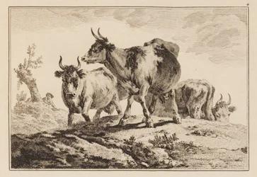 Plade 4, fra "Notesbog med seks ark okser og køer"