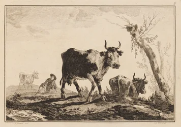 Plade 5, "Notesbog med seks ark okser og køer"