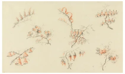 Sprays af syv ideelle blomster og af en næsten naturalistisk blomst
