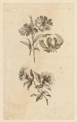To blomsterkviste