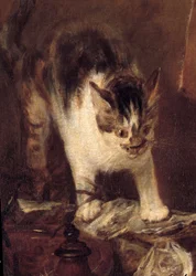 Stilleben med rokke, fisk, østers og kande. Kattedetalje. 1727. 1,14 x 1,46 m. Paris, Louvre-museet