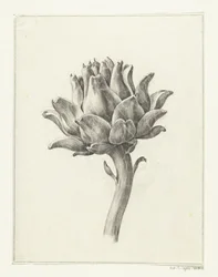 Artiskok