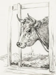 Kohoved (1820)