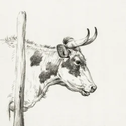 Kohoved, set fra højre (1820)