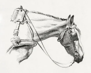 Hestehoved (1820)