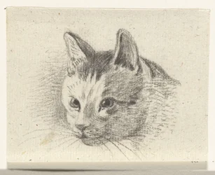 Hovedet af en kat