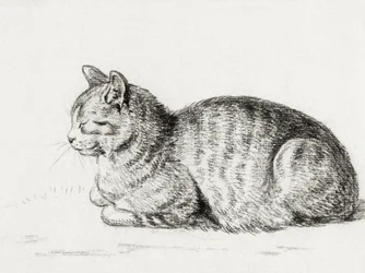 Den sovende kat (1811)