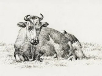 Den liggende ko (1825)