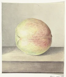Fersken