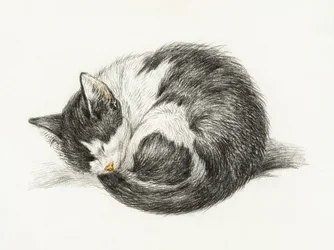 Sammenrullet, liggende, sovende kat (1825)