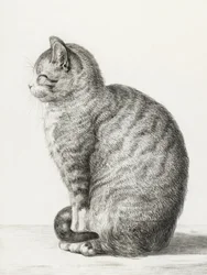 Siddende kat (1815)