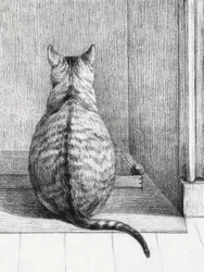 Siddende kat, set bagfra (1812)