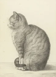 Siddende kat, til venstre. 1815