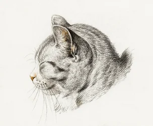 Skitse af en kat (1813)