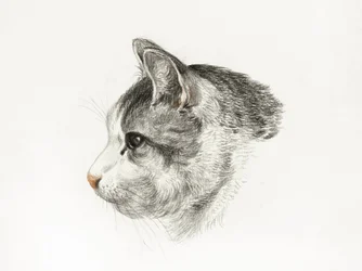 Tegning af en kat (1819) af Jean Bernard (1775–1883)