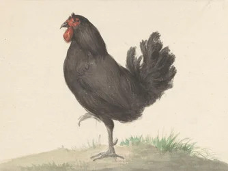 Den stående sorte høne (1775–1833)