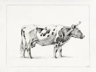 Stående ko (1820)