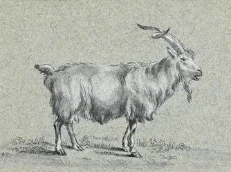 Stående ged af Jean Bernard