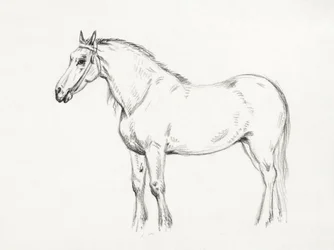 Stående hest (1818)