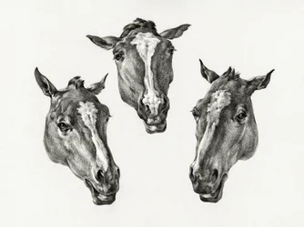 Tre hestehoveder (1812)
