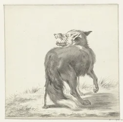 Vos