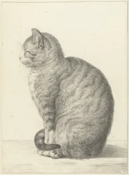 Siddende kat, til venstre