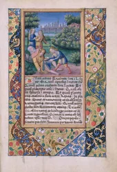 Fru Lat. Q.v.I.126 fol.17 The Drunkenness of Noah, fra Book of Hours of Louis dOrleans, 1490