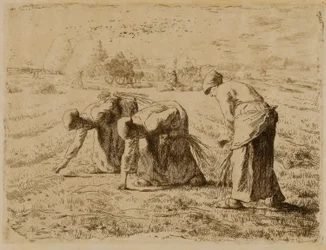 Gleanerne