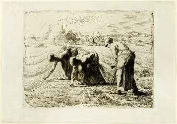 Gleanerne