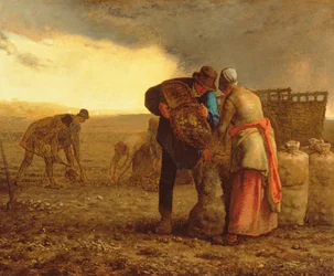 Kartoffelhøsten, 1855