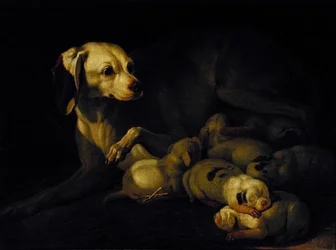The Bitch Hound Nursing her Puppies, detalje efter en original af Jean-Baptiste Oudry, 1755