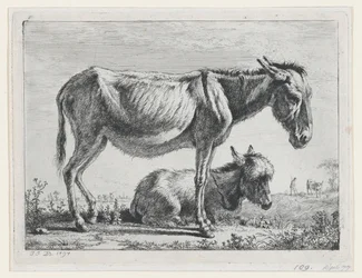 Jenny med sit føl, 1797.