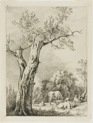 Forår