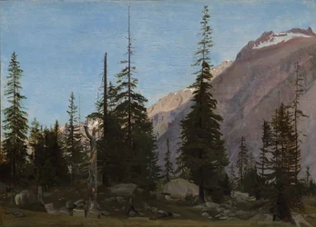 Alpine Landscape: The Handegg, Schweiz