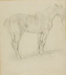 Stående hest