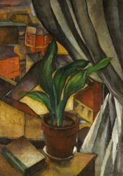 The Aspidistra, ca. 1912 (olie på lærred)
